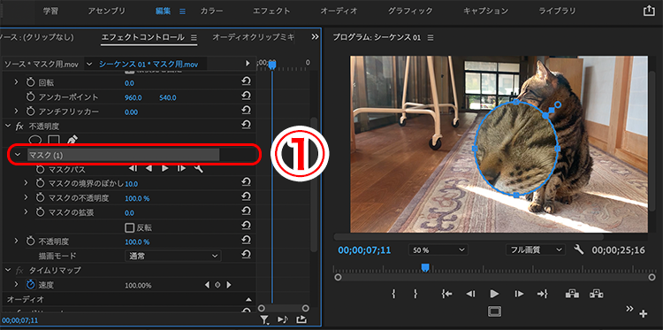 Premiere Proのマスク機能_05
