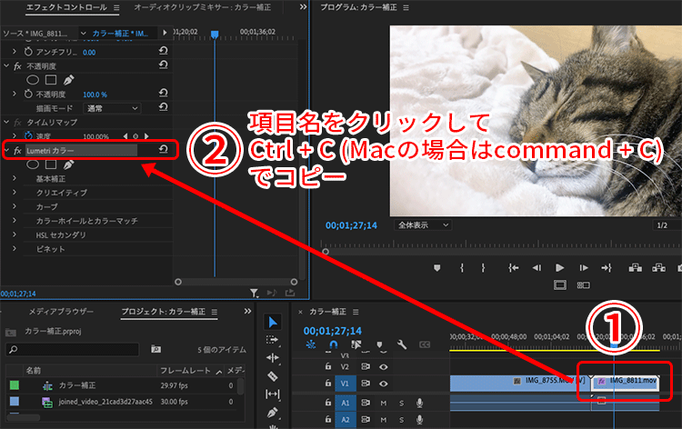 color-correction-with-premiere-pro_34