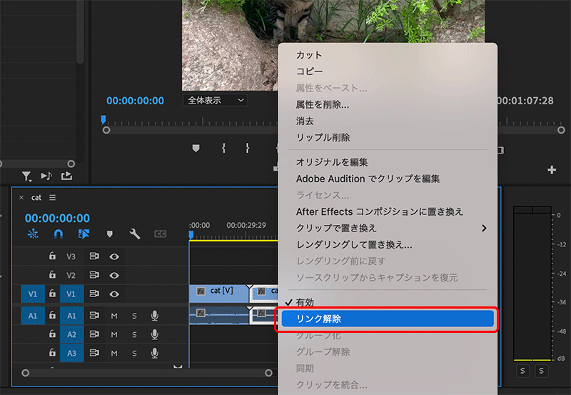 Premiere Proで映像と音声のリンクを解除する方法_03